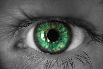 Close shot of the human eye. The eye of a man.