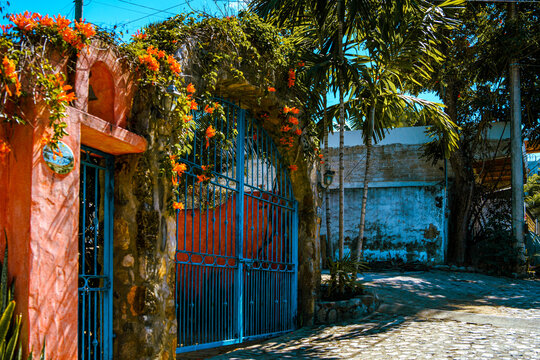 Fototapeta Beautiful vibrant Mexican streets with colorful buildings and traditional walls, surrounded by lush tropical plants and palm trees, under bright blue sunny skies