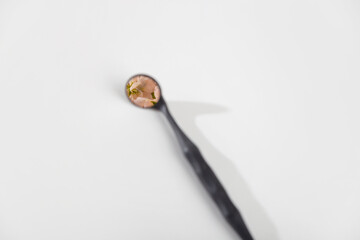 Dentist mirror with flowers reflection on white background. Minimalism. Dental care concept. Copy space.