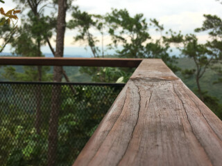 Hand rails in the forest