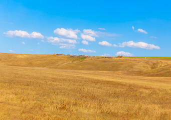 Farm on the hill landscape . Rustic Summer Meadow  