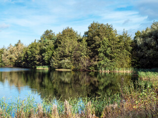 Lake and trees at North Cave Wetlands, East Yorkshire, England