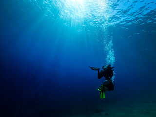 Underwater photos of the coral reef and the marine life in Red sea. Dahab Egypt