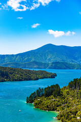Naklejka premium Coastal landscape in New Zealand
