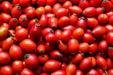 Fresh rose hip berries as background