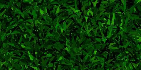 Fototapeta na wymiar Dark Green vector backdrop with lines, triangles.