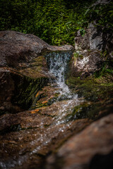 waterfall in the forest