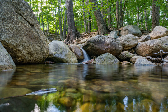 the river in the woods