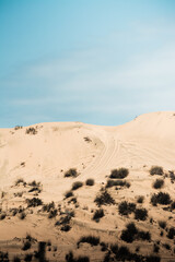 Fototapeta na wymiar white sand dunes with vegetation blue sky with space for text