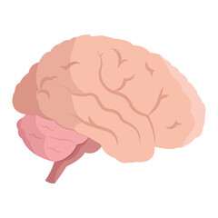 Isolated human brain icon flat design Vector