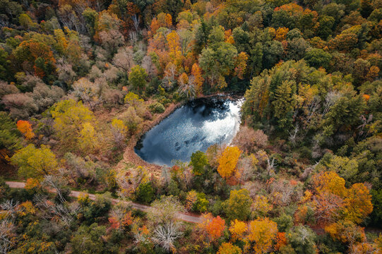 An aerial view of a secluded pond with blue water in an autumn forest with colourful leaves, in Hamilton, Ontario, Canada.