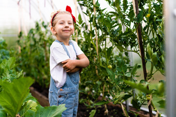 a little blonde girl in a greenhouse with a shoulder blade and a rake takes care of plants, the concept of gardening