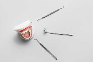 Model of jaw with dental braces and tools on light background