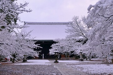 Ice Trees View in Kyoto