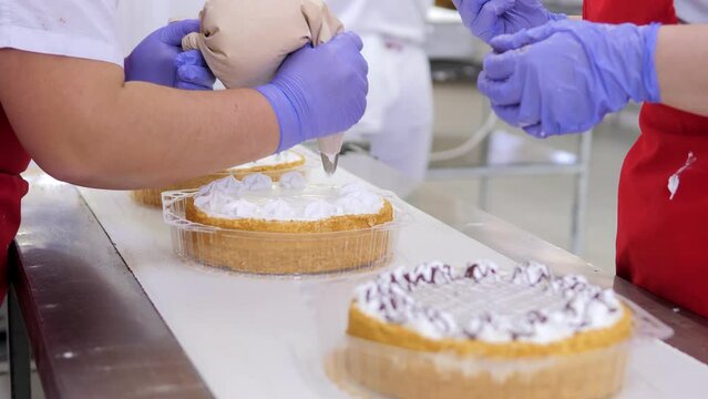 Production of confectionery products.The process of decorating cakes on an automatic conveyor belt.Women in gloves decorate the cake.Production of chocolate, sweets.Confectionery factory or bakery