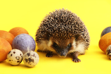 Cute hedgehog with Easter eggs on yellow background