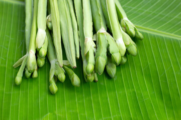 Limnocharis flava on banana leaf