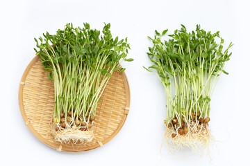 Pea Sprouts on white background.