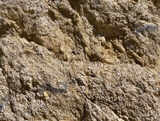 Texture and background of the beige stone wall close up 