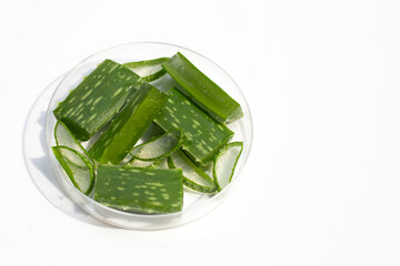 Aloe vera in petri dish on white background.