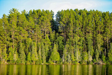 This beautiful northwoods shoreline welcomes the traveller in Ely Minnesota at the beginning of the Boundary Waters Canoe Area Wilderness and close to the Canada border