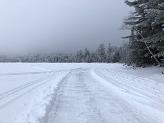 Obraz premium Hoar frost covers trees and forms feathery crystals in the humid Northern Minnesota air on Gunflint Lake near the Boundary Waters Canoe Area Wilderness