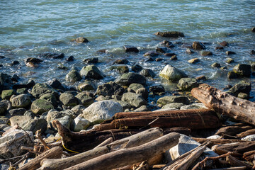 Rocky coastline of False Bay in San Juan Island, WA, refilling after low tide on a sunny day