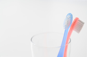 歯ブラシ　白バック　同棲　新生活