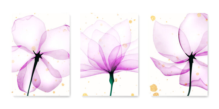 Art background with transparent pink and purple rose flowers and golden details. Vector botanical x-ray style poster set for decoration, interior design, invitations, packaging