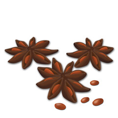 Anise stars on white