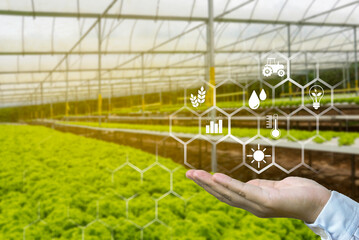 A hand holding a floating icon with a blurry background of green house farm.Concept of smart...