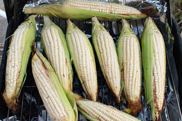 Mexican corn on a market grill 