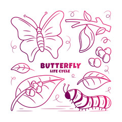 Butterfly Life Cycle Illustration with hand drawn gradient outline style