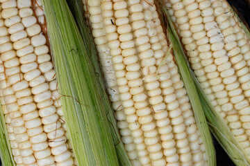Close up of mexican corn 