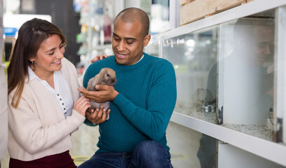 Positive young adult couple choosing rabbit while shopping together in pet store
