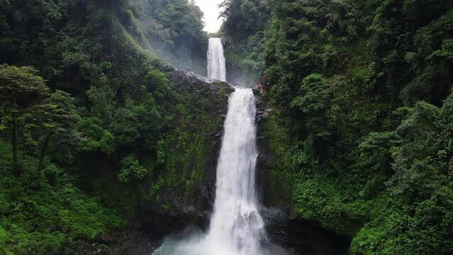 Catarata bosque denso