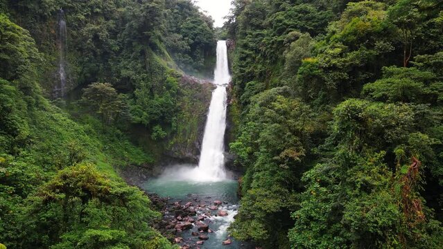 Catarata en bosque denso 