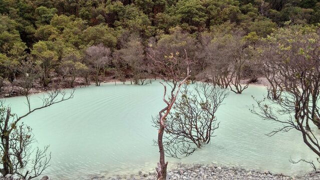 White Lake In The Woods