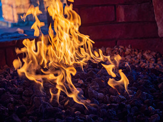 Close up shot of camp fire burning