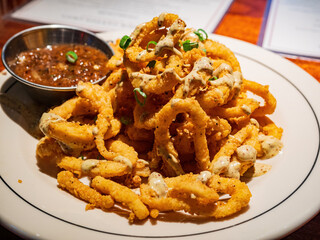 Close up shot of deep fried calamari