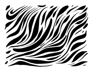 Fototapeta na wymiar Zebra print - Hand drawn pattern illustrations - vector