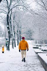 person walking in the snow