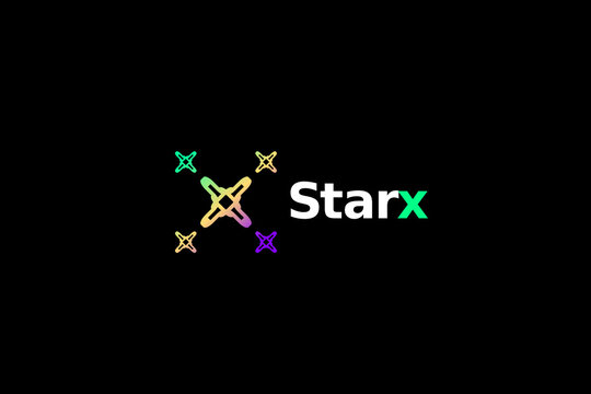 letter x star  flat simple tech modern logo