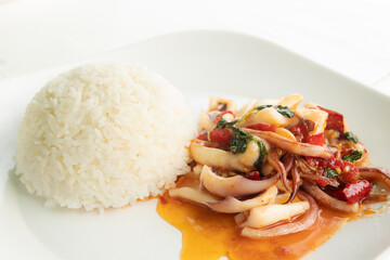 Stir fried squid and basil with cooked rice, Thai food