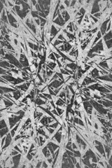 grunge gray color of abstract background