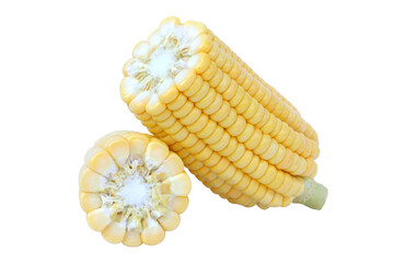 Fresh sweet corn isolated on white background