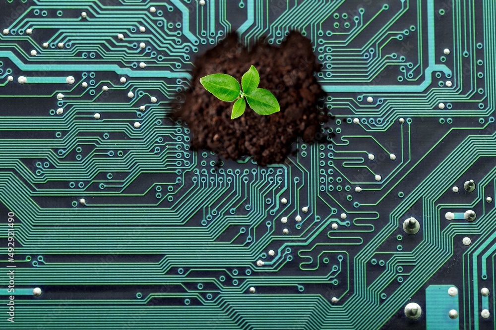 Poster nature with digital convergence and technological convergence concept. growing tree on the computer 