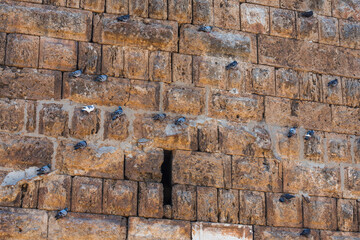 The ancient wall is paved with gray stones with doves. stone texture, outdoor stone tile