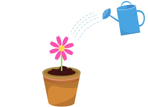 植木鉢の花 水やり じょうろ イラスト素材 Stock Vector Adobe Stock
