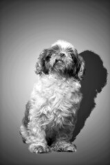 Ondas batendo nas pedras